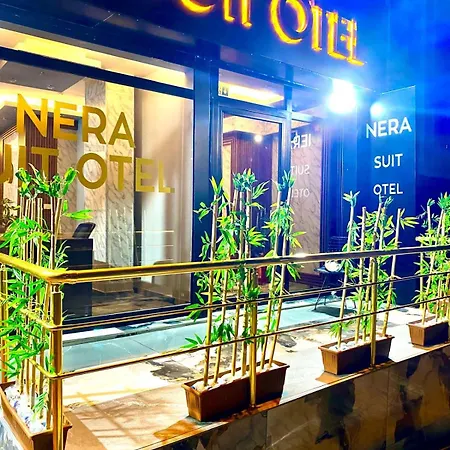 Hotel Nera